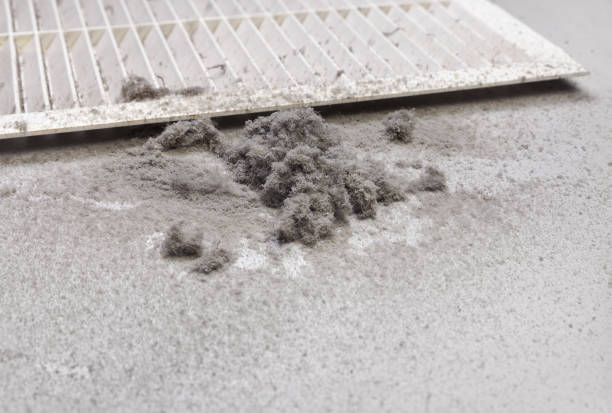 Best Air Duct Cleaning Near Me in Vanceboro, NC