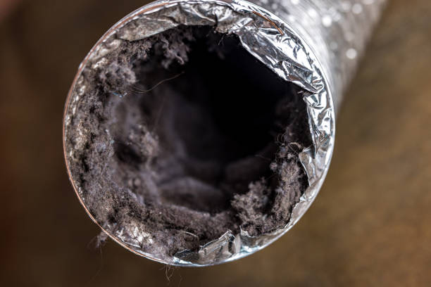 Best Ventilation Cleaning Services  in Vaeboro, NC