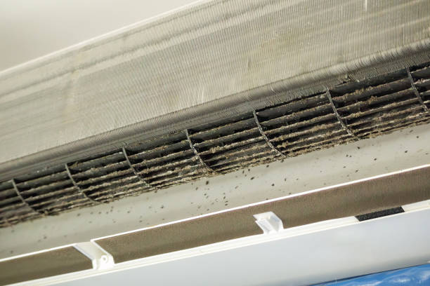 Best HVAC Duct Inspection Services  in Vaeboro, NC