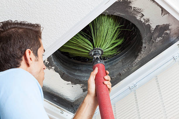 Best Professional Duct Cleaning Services  in Vaeboro, NC