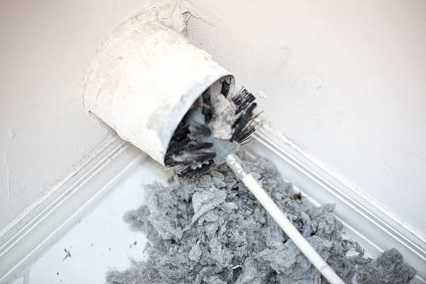 Best Air Duct Cleaning Near Me  in Vaeboro, NC