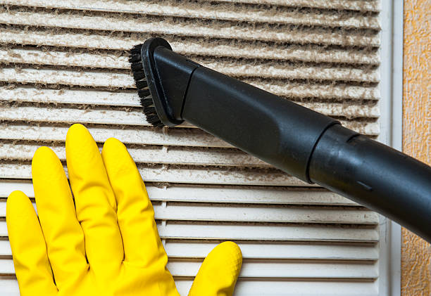 Best HVAC Air Duct Cleaning  in Vaeboro, NC