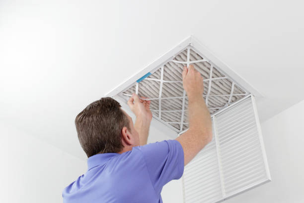 Best Air Duct Mold Removal  in Vaeboro, NC